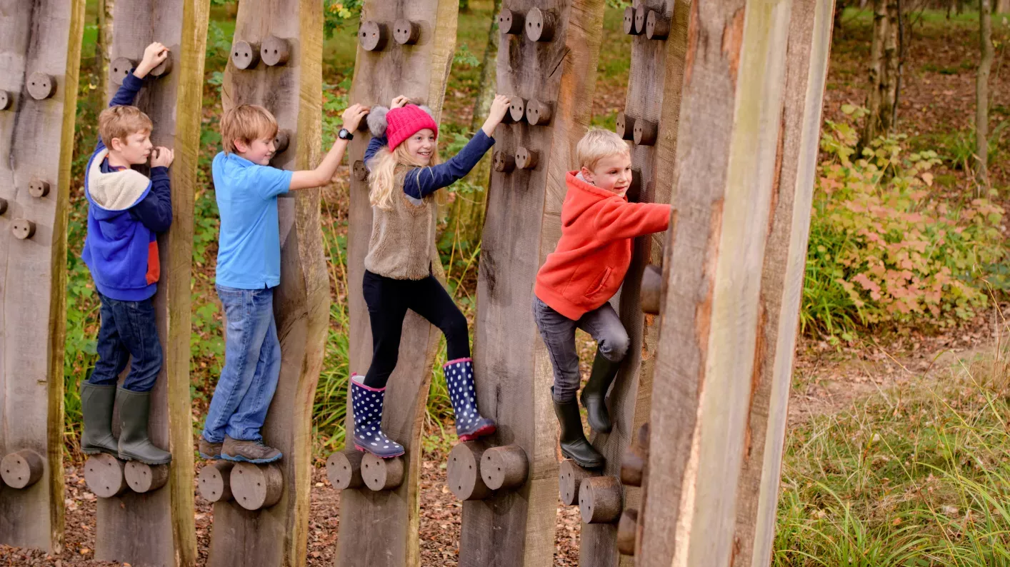 Tree Trunk Trek at Wakehurst in Autumn, Jim Holden © RBG Kew
