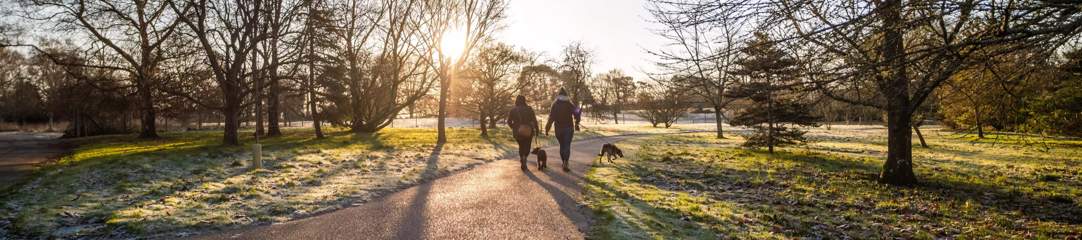 People walking in the Wakehurst landscape with their dogs