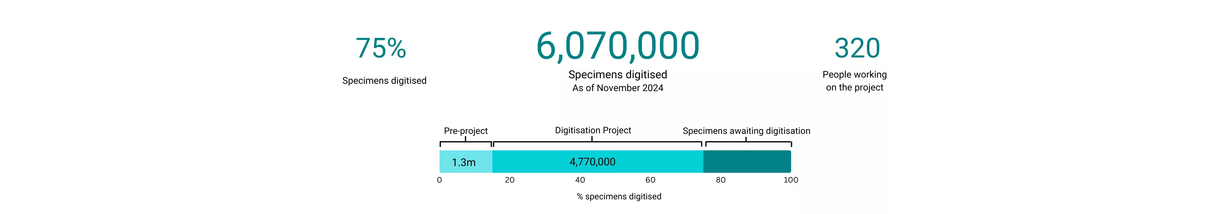 Graphic showing the Digitisation Project numbers to date Graphic showing the Digitisation Project numbers to date