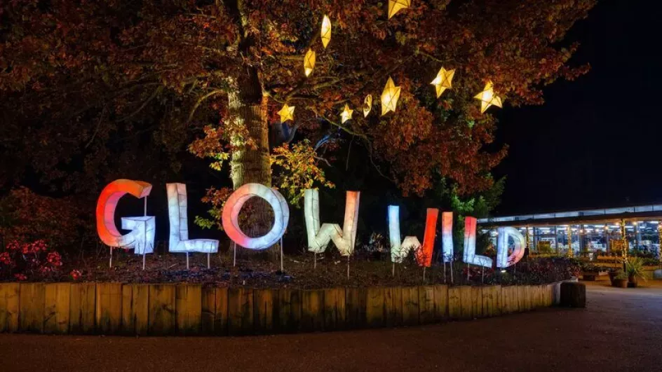 Glow Wild welcome lanterns