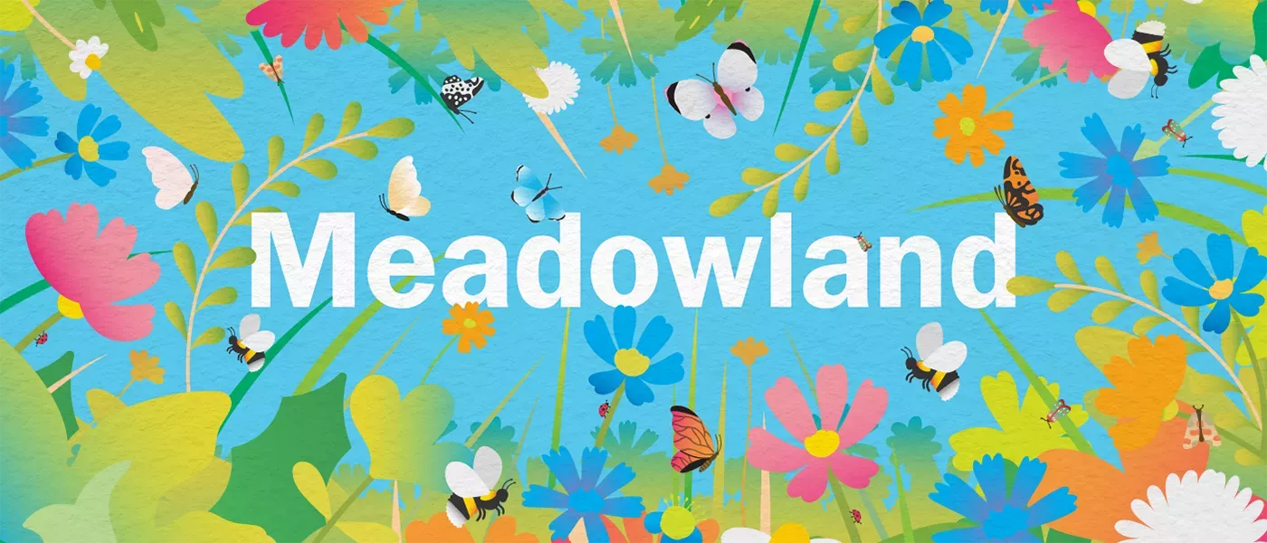 Cartoon-style plants and insects surround the word Meadowland