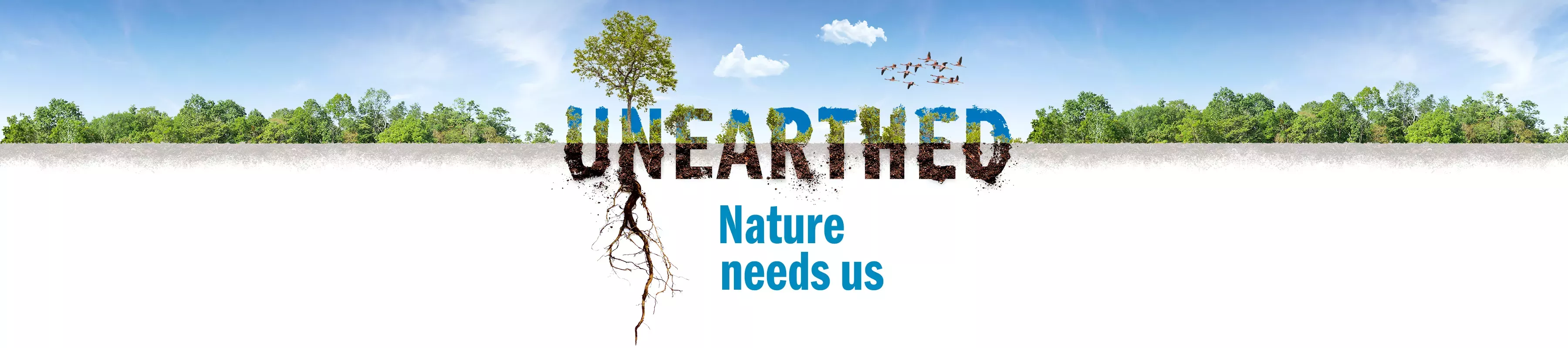 Unearthed: Nature needs us © RBG Kew A banner showing forest, blue sky, birds and the text Unearthed Nature needs us