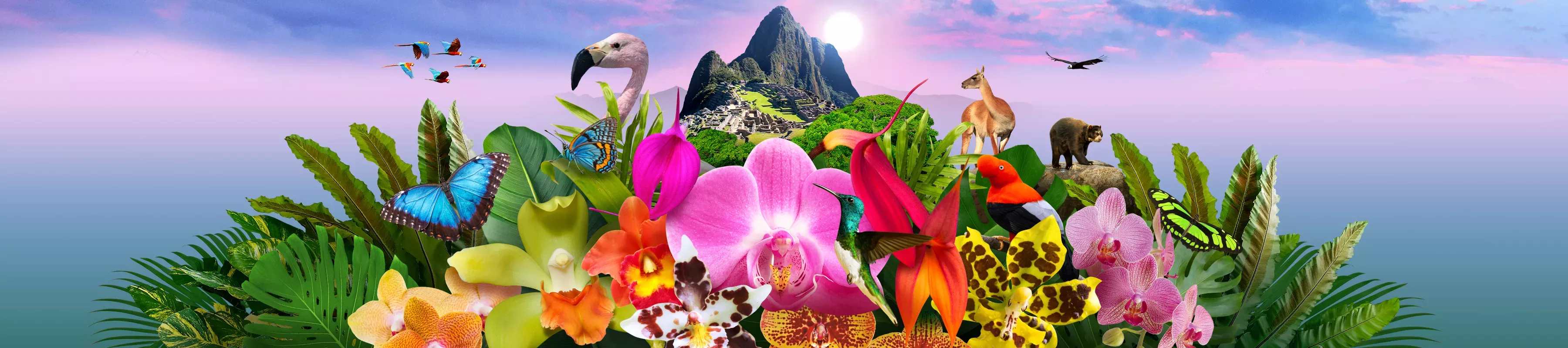 Orchids 2025 A mountain of orchids and native Peruvian animals featuring Machu Picchu at that top.