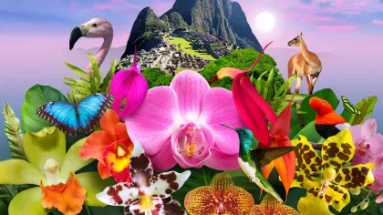 A mountain of orchids and native Peruvian animals featuring Machu Picchu at that top.