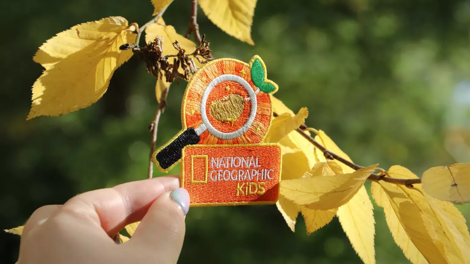 Nature Heroes Seed Seeker badge Nature Heroes Seed Seeker badge