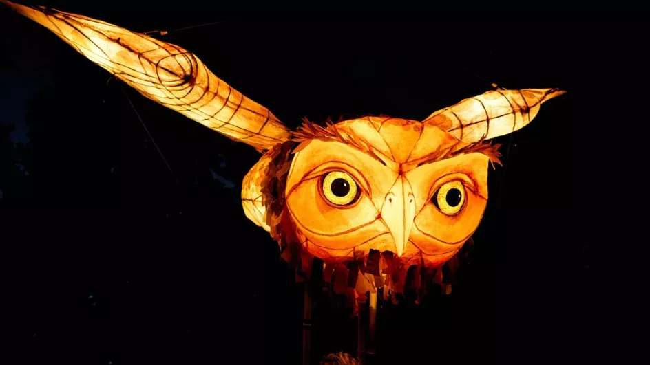 Flying owl lantern puppet by Thingamajig Theatre