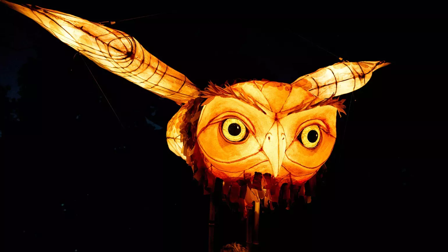 Flying owl lantern puppet by Thingamajig Theatre A huge, glowing owl lantern flies past the camera