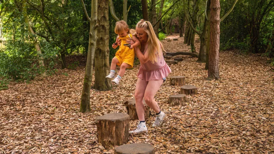 Tree Trunk Trek at Wakehurst, Visual Air © RBG Kew