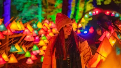 A woman walks through colourful lanterns which are ready to be picked up by visitors to guide them around the Glow Wild Christmas light trail
