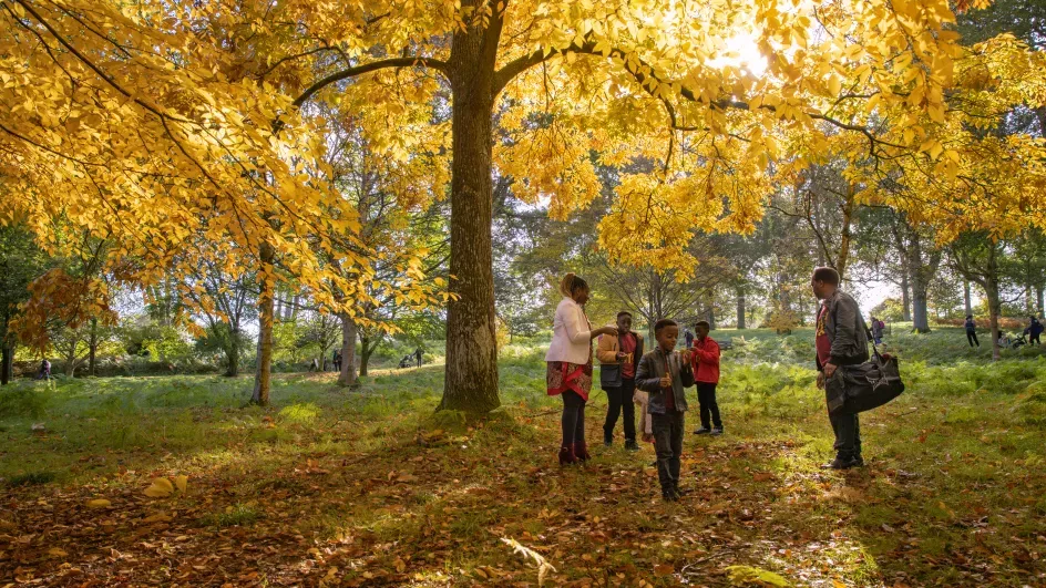 Wakehurst's Bethlehem Wood, James Ratchford © RGB Kew