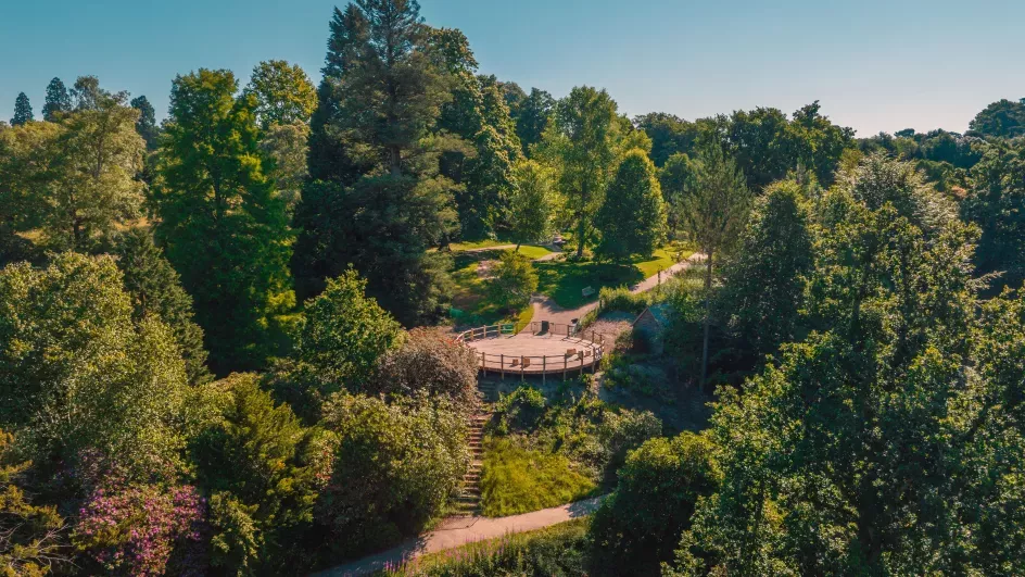 Wakehurst Viewing Platform, Visual Air © RGB Kew