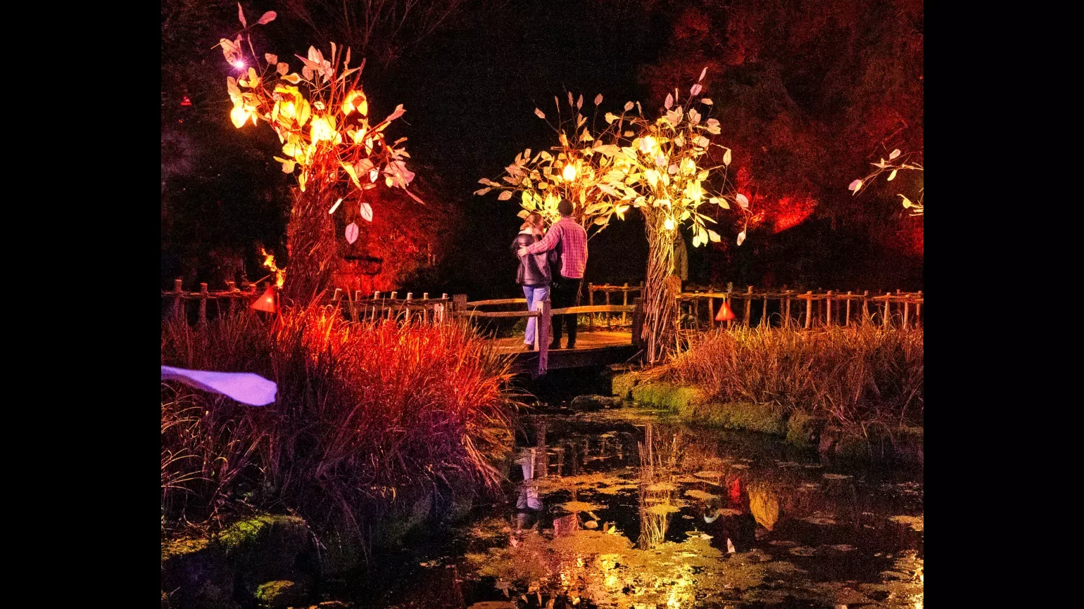 Glow Wild tree light installations in 2022 A couple stands on a small, wooden bridge over a pond, surrounded by trees glowing orange with Christmas lights and lanterns