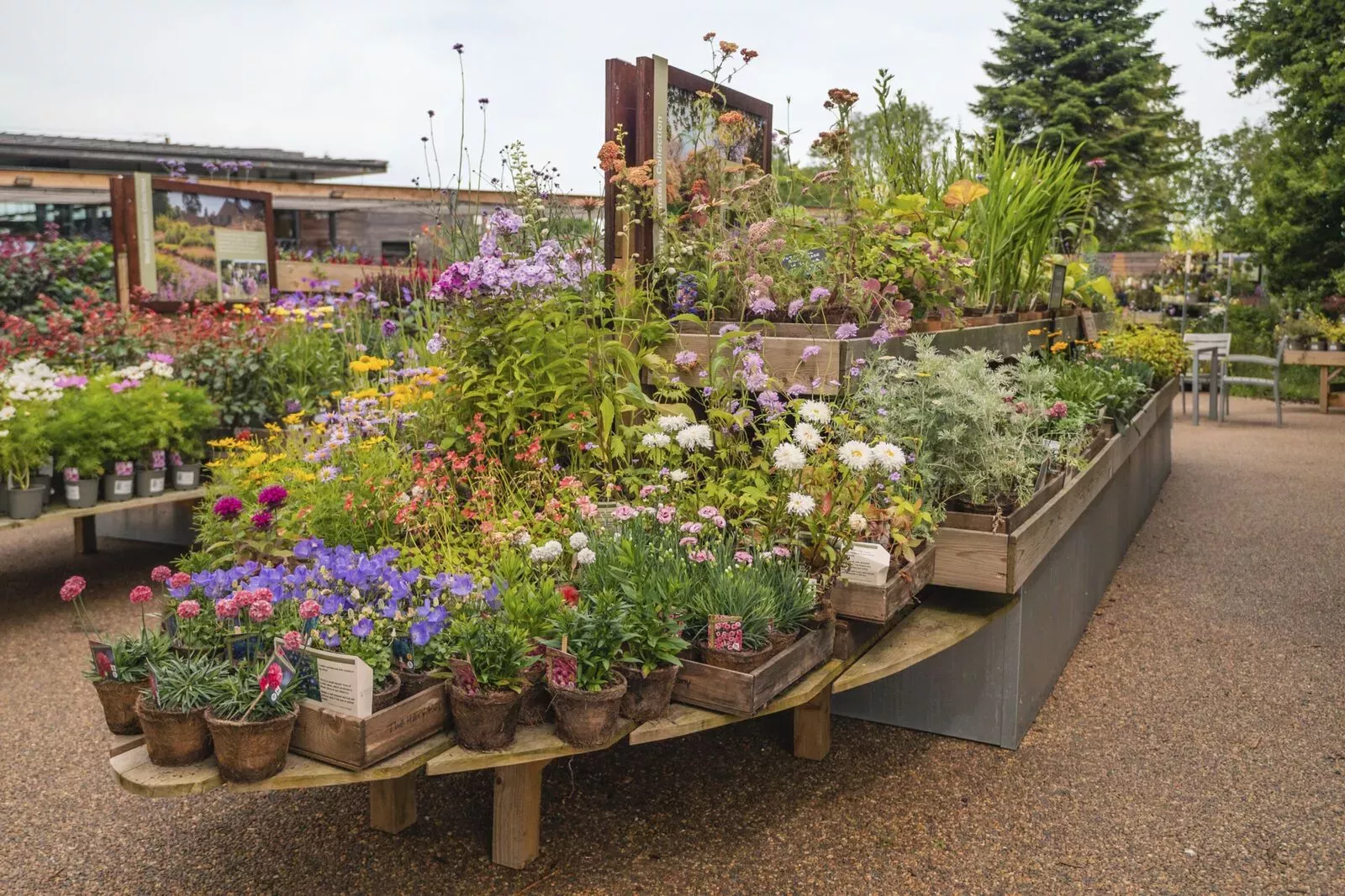 Wakehurst plant shop © RBG Kew An outdoor plant nursery with colourful flowers in pots