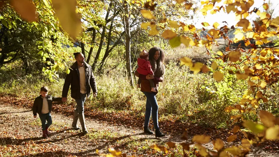 Family nature activities © RBG Kew