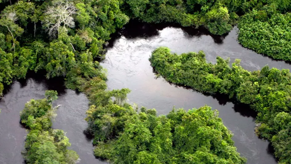 Amazon rainforest © Wikimedia Commons.