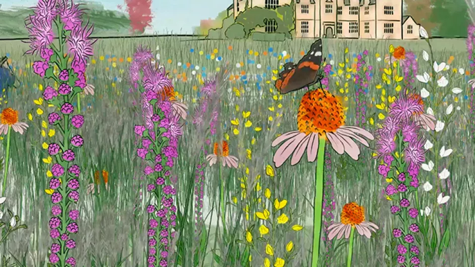 American Prairie animation © RBG Kew