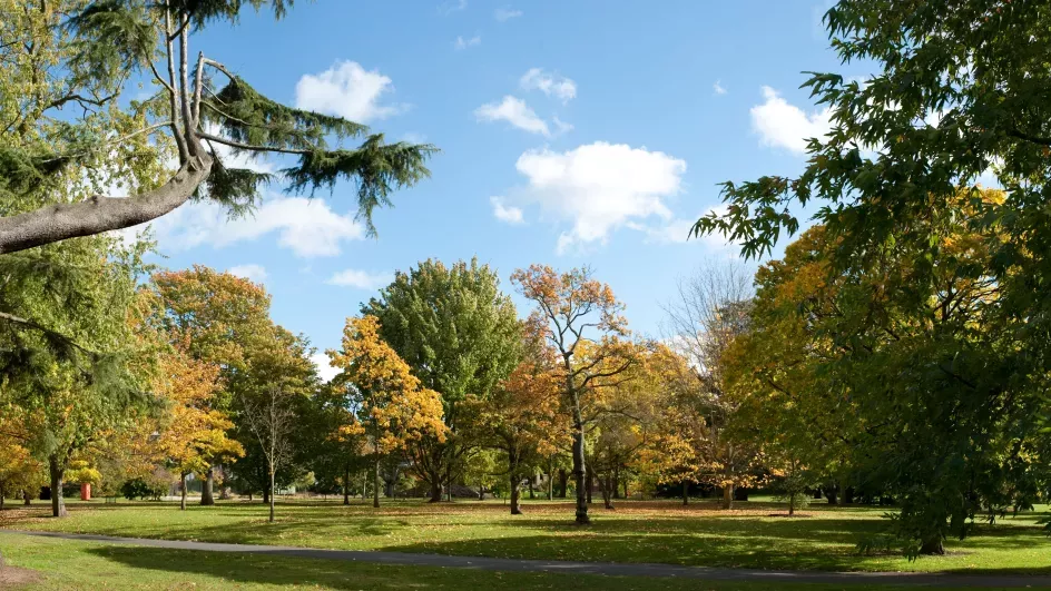The Arboretum © RBG Kew