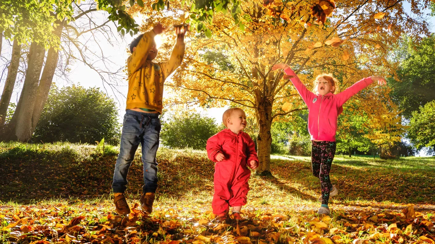 Autumn in Bethlehem Wood, Jim Holden © RBG Kew Three children through leaves up in the air. An autumnal woodland is in the background
