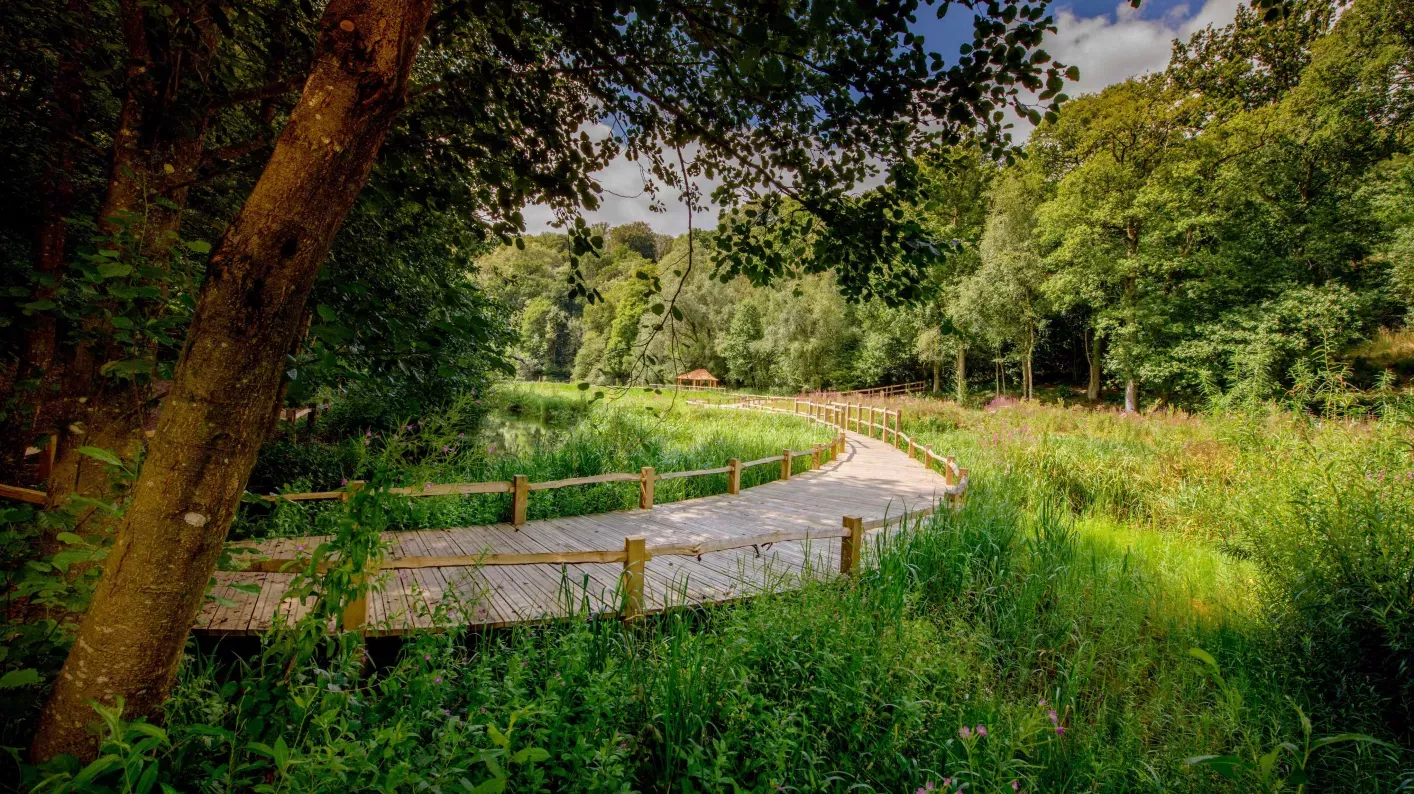 Wetlands Boardwalks, Jim Holden © RBG Kew