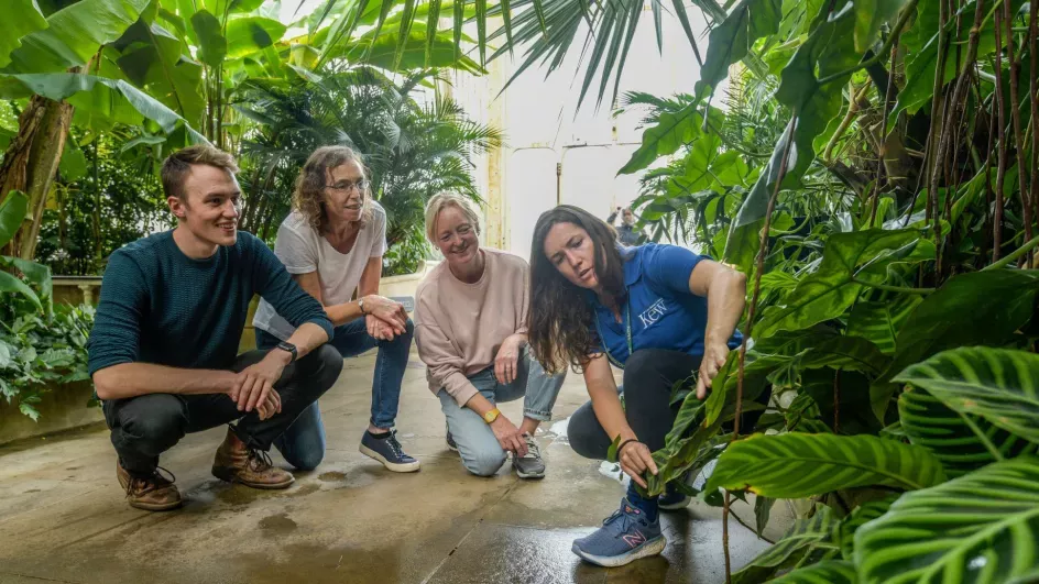 CPD Teacher Training in the Palm House © RBG Kew