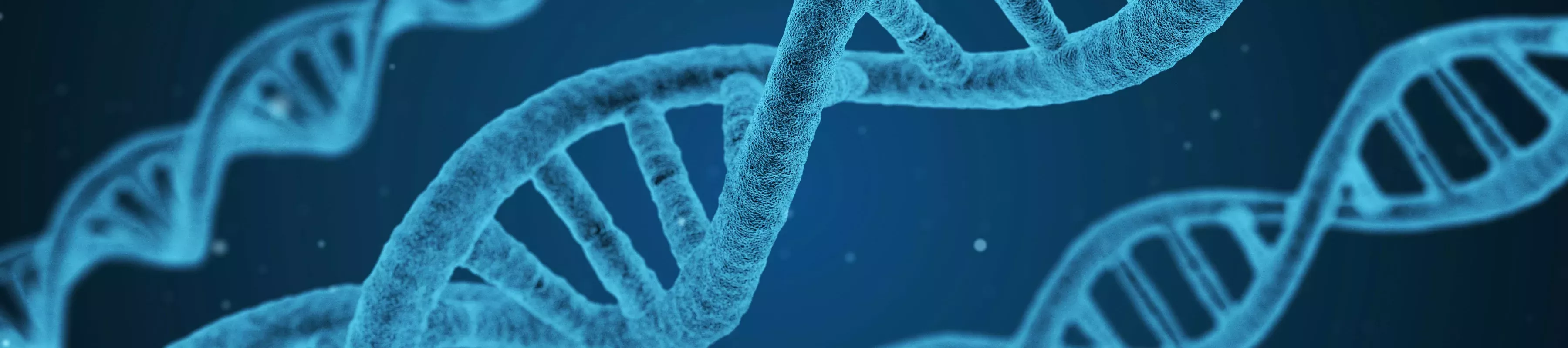 DNA © Arek Socha/Pixabay. Blue image of DNA strands