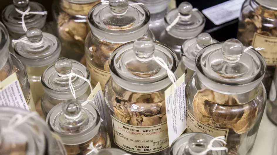 Economic Botany Collection jars, RBG Kew/Steve Lancefield