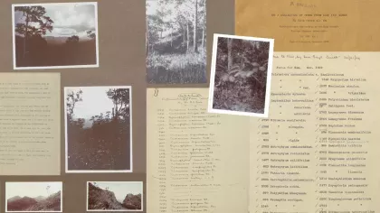 A collage of items relating to Eryl Smith, including plant lists, letters, and photographs.