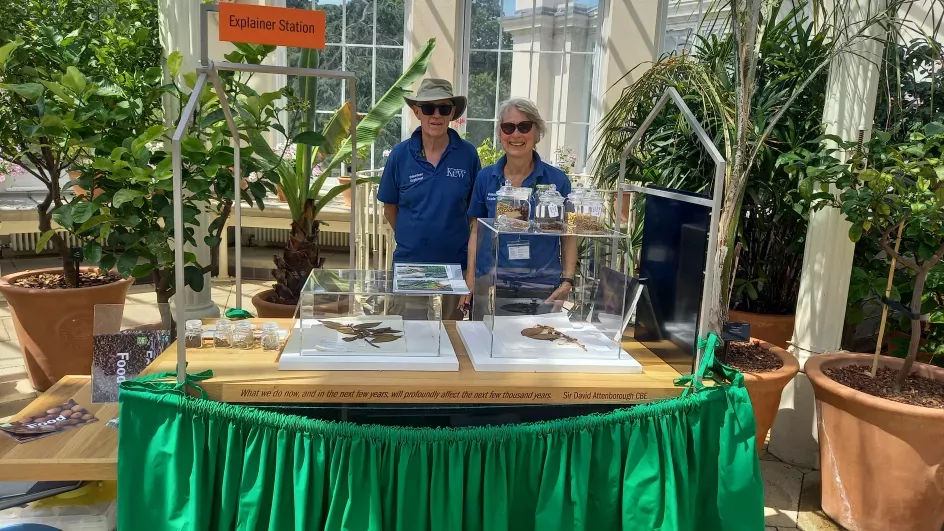 Volunteer explainers © RBG Kew