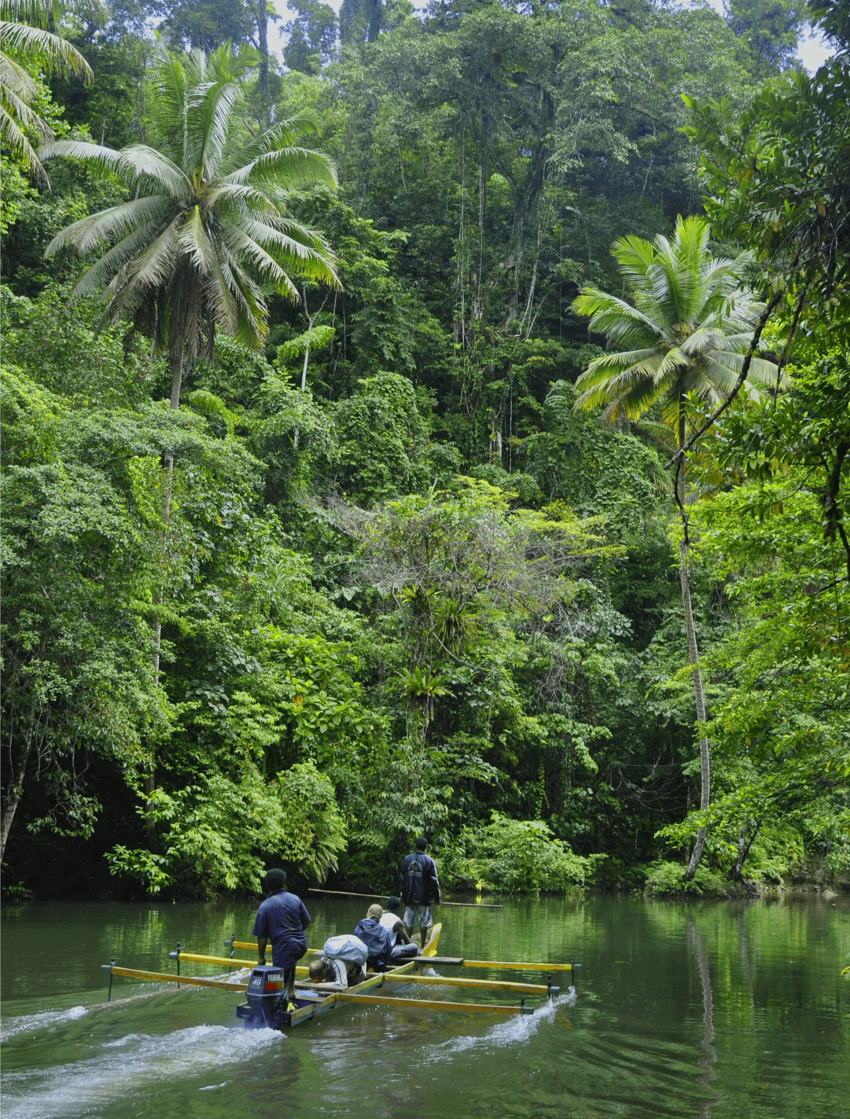 Kew scientists and local partners exploring the rainforests of Indonesian New Guinea People exploring the rainforest by boat, with vegetation overhead