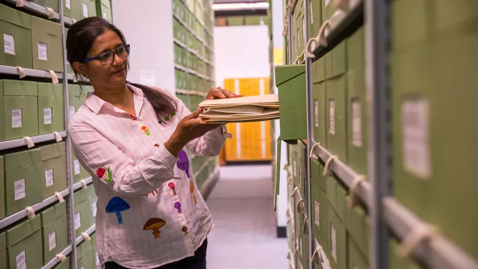 A researcher in the Fungarium © RBG Kew