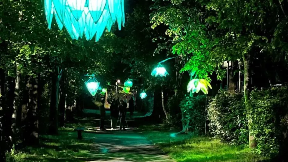Oak Chandeliers at Glow Wild
