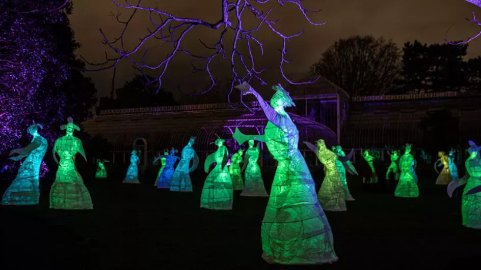 Silva Lumina lantern installation at Glow Wild