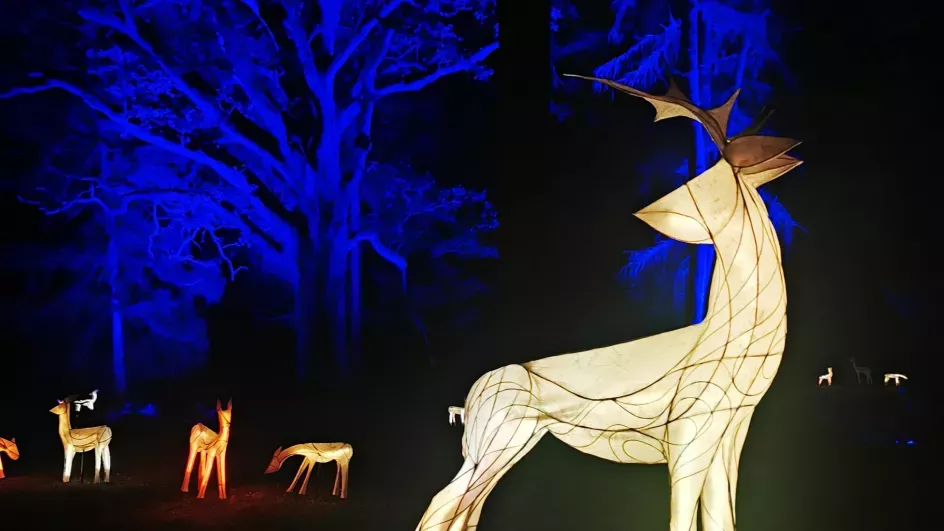 Glow Wild deer - placeholder image for The Playful Peace Garden image