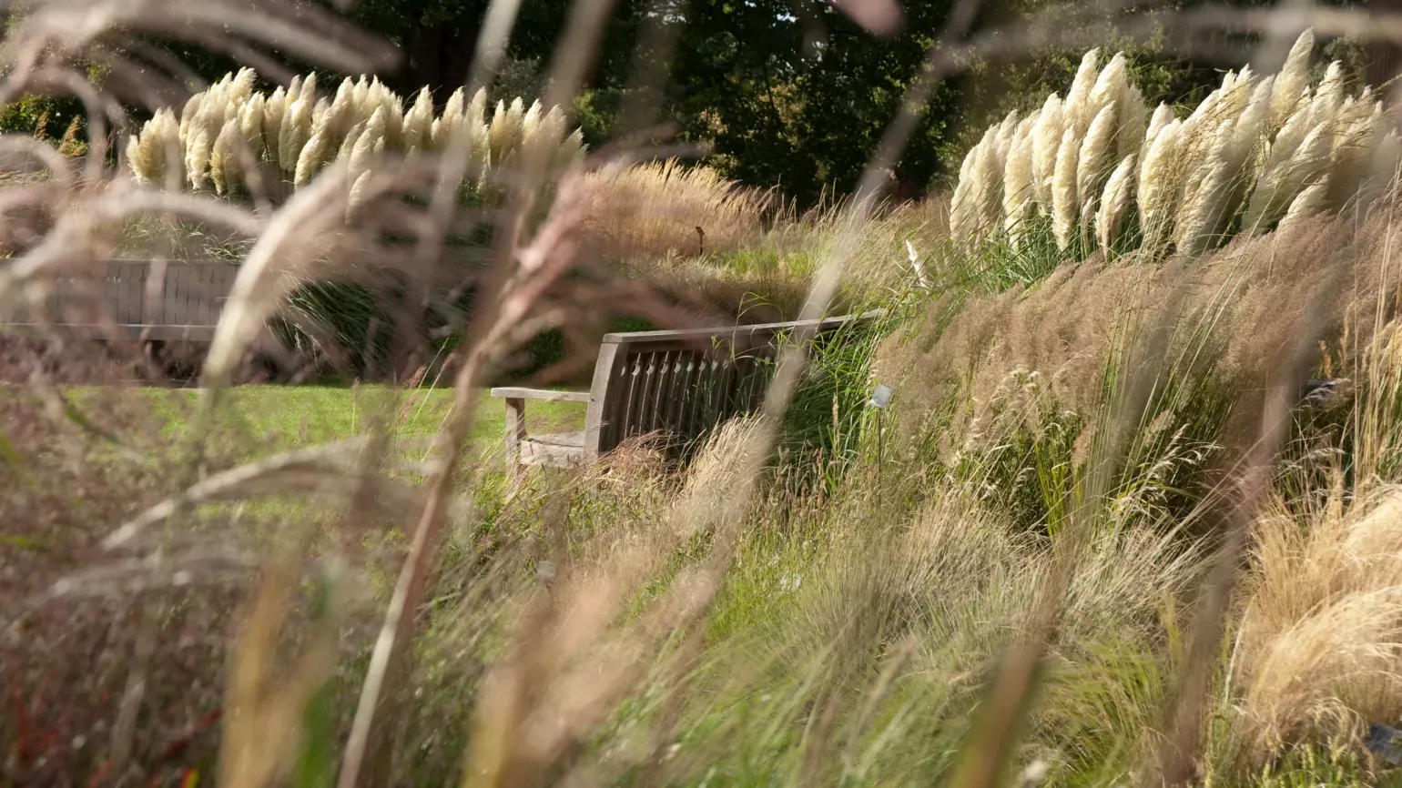 Grass Garden ©RBG Kew A bench in the Grass Garden at Kew
