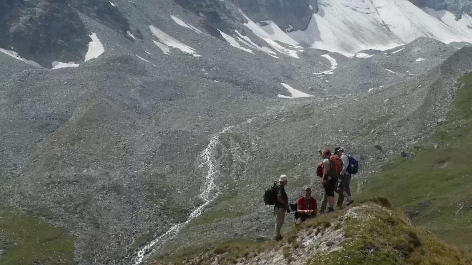 Seed collecting in Switzerland © Catherine-Lambelet.