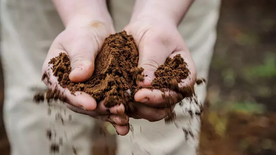 Hands in soil/Unsplash