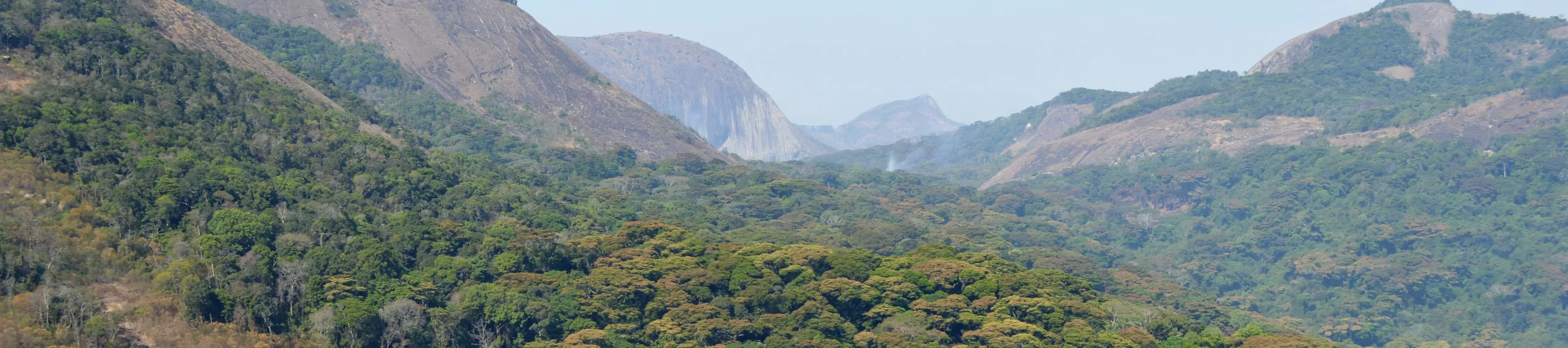 Mozambique TIPAS landscape A montane forest landscape stretches to the horizon