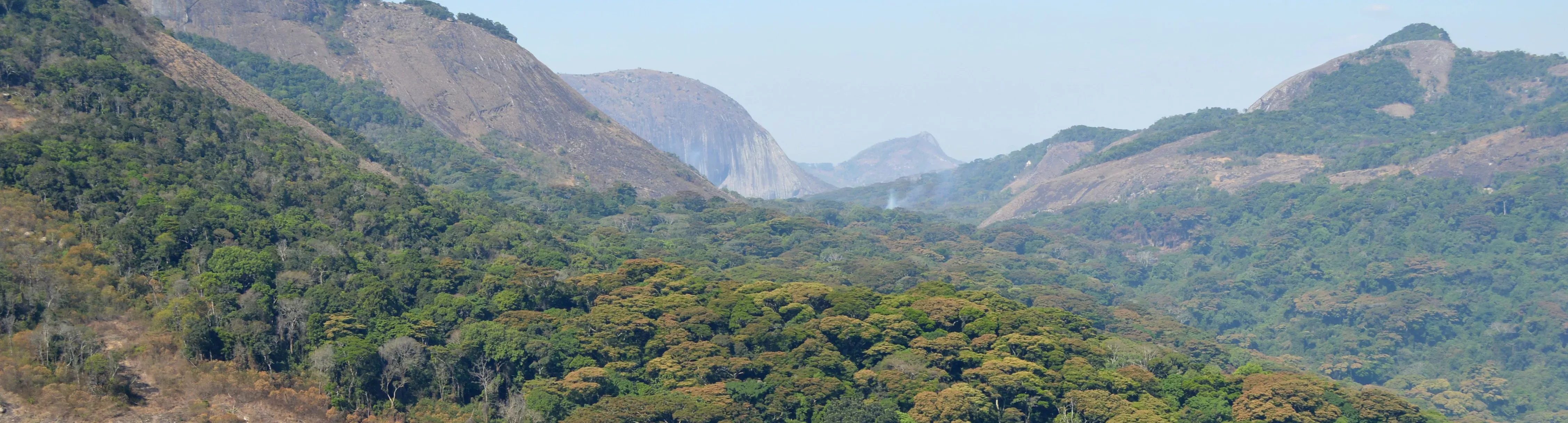 A montane forest landscape stretches to the horizon