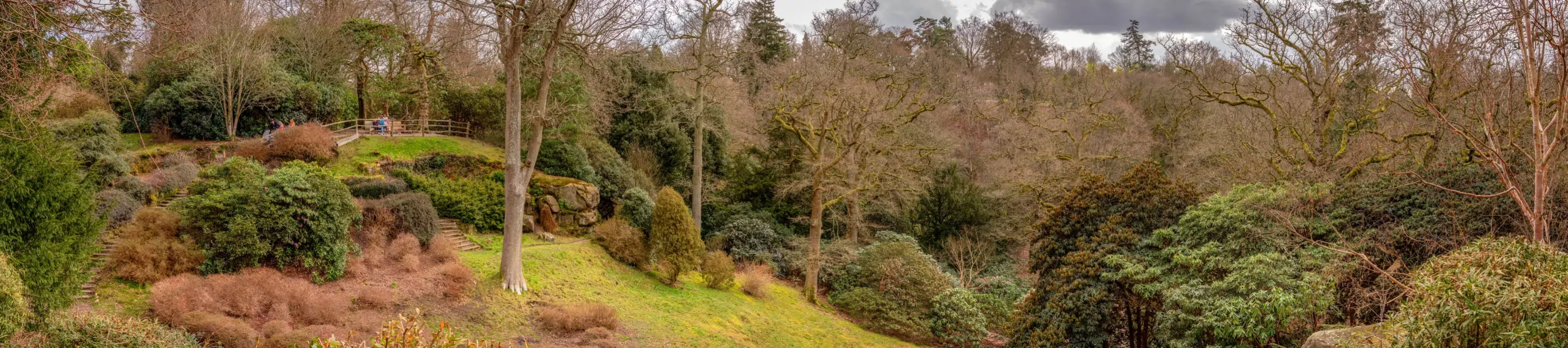 Himalayan Glade at Wakehurst © RBG Kew A valley with many trees, rocks and plants
