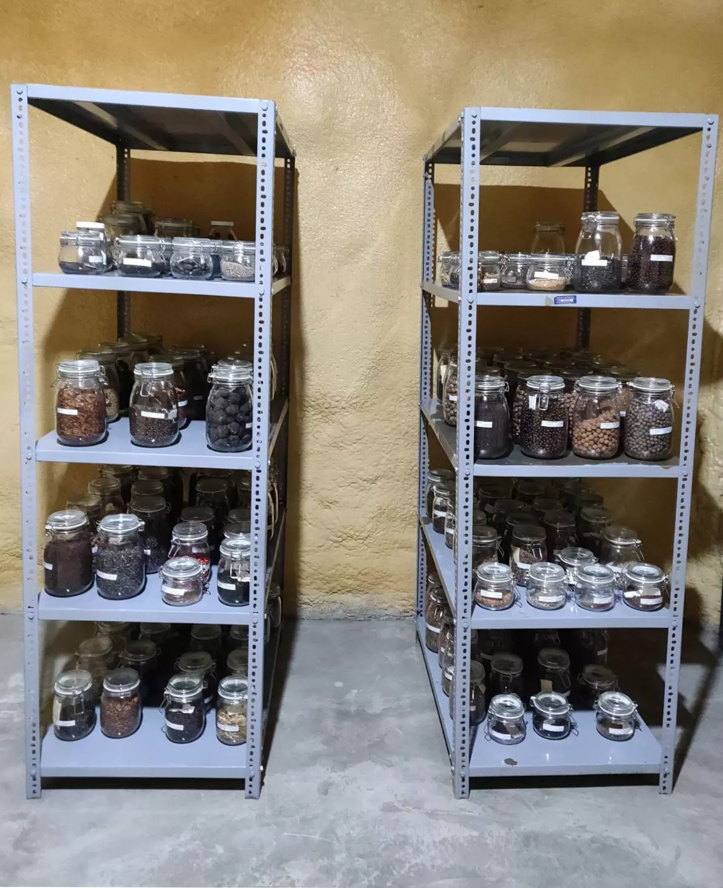 Two sets of shelves filled with jars of seeds inside the JBN seed bank Two sets of shelves filled with jars of seeds inside the JBN seed bank