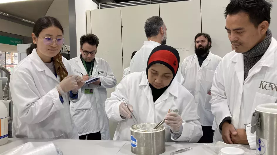 Cryogenics work at the Millennium seed bank