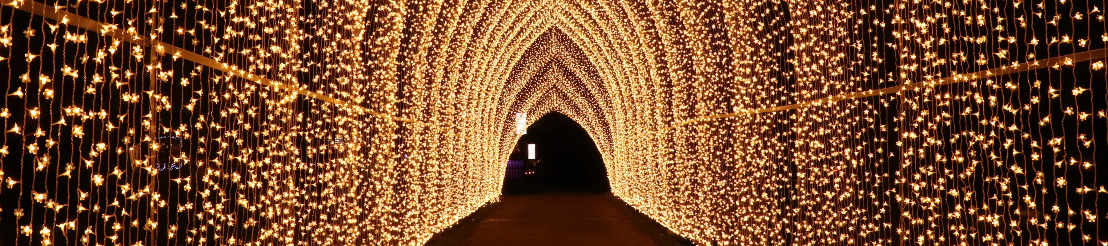 Christmas Cathedral at Christmas at Kew Cascades of white light forming a bright tunnel