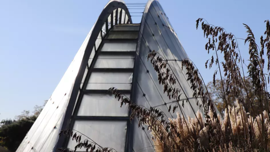 Davies Alpine House in winter