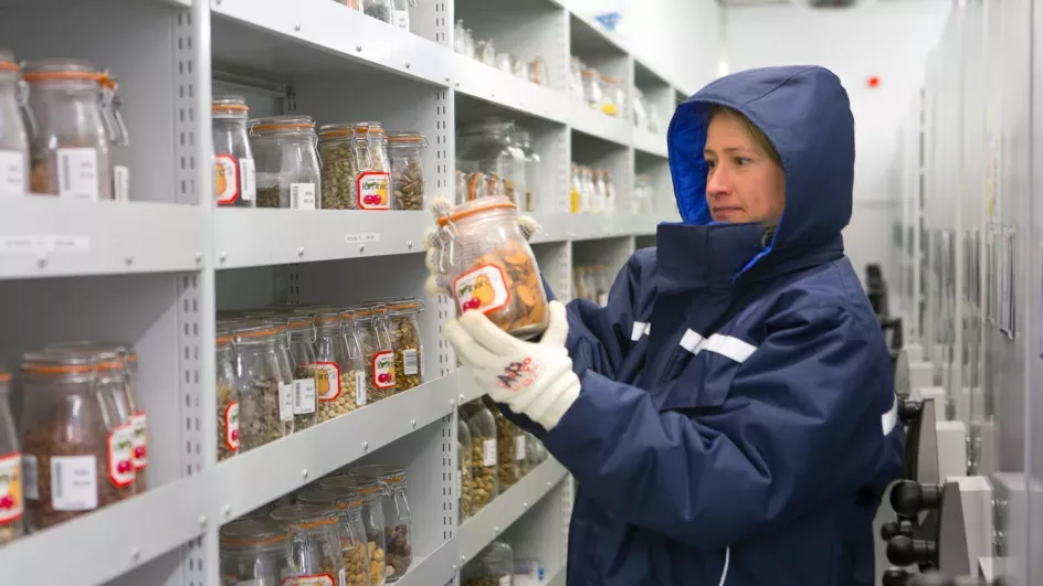 Kew scientist in the vaults of the Millennium Seed Bank © RBG Kew