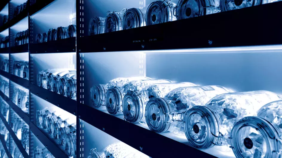 The Millennium Seed Bank ©RBG Kew/Wolfgang Stuppy