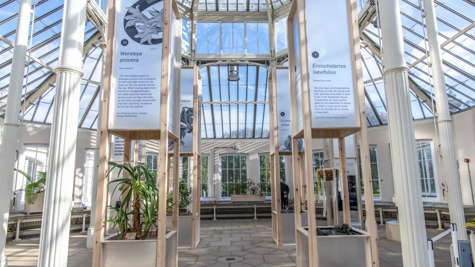 Rare and Extinct exhibition Ines Stuart-Davidson © RBG Kew