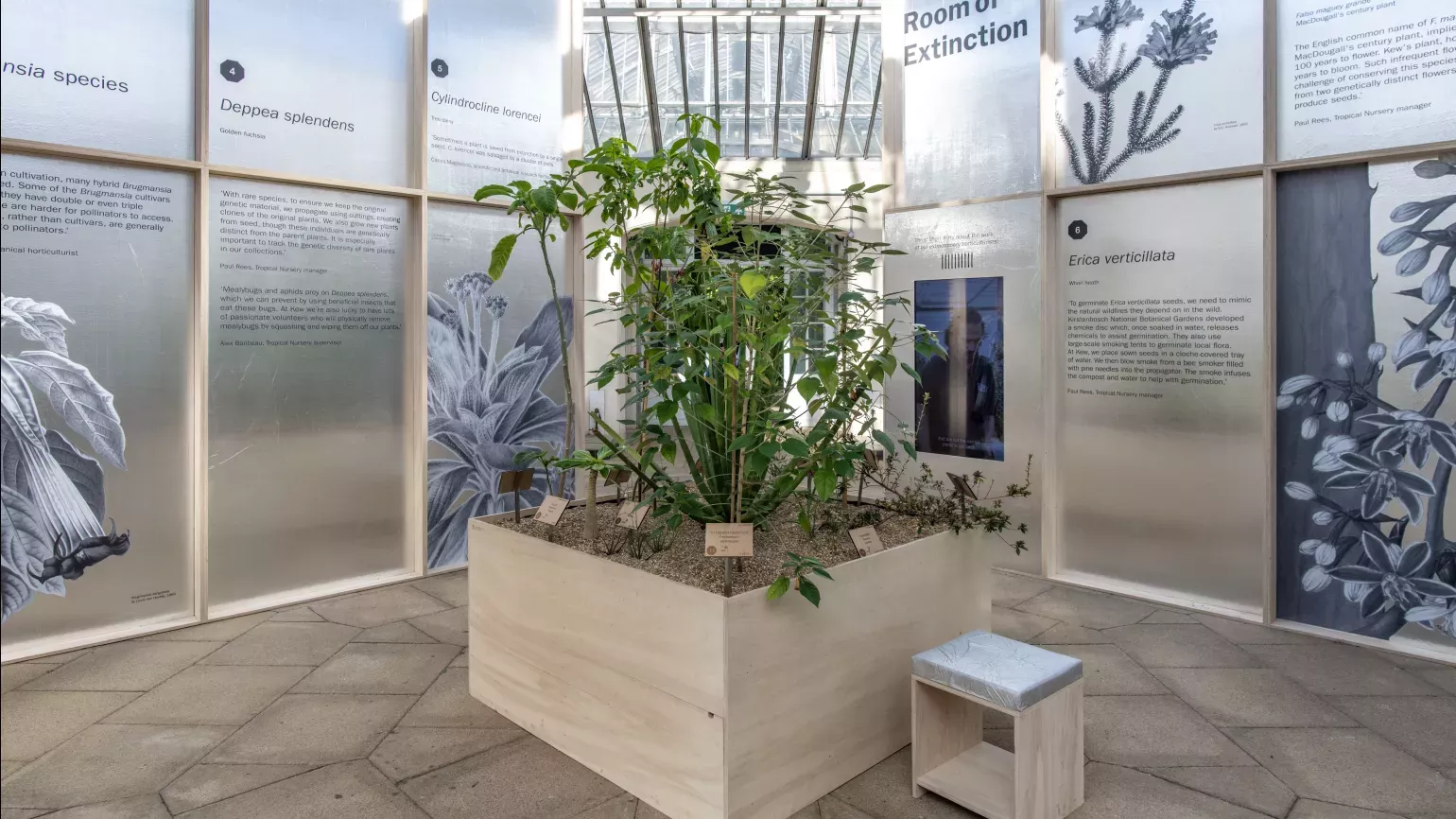 Rare and Extinct at Kew, Ines Stuart-Davidson © RBG Kew