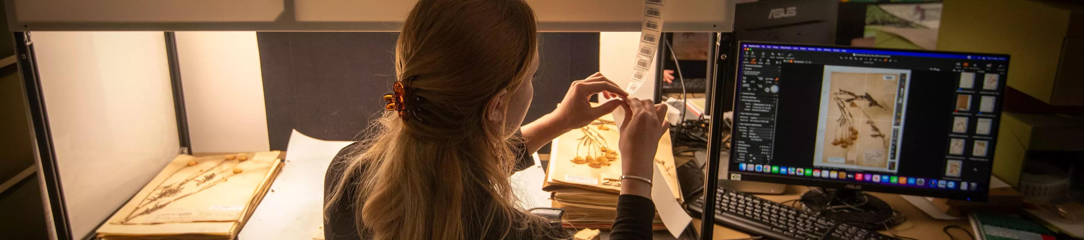 Digitising a plant specimen from Kew's Herbarium Woman digitises a plant specimen from Kew's Herbarium