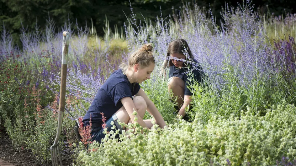 Horticulturalists working at Kew, ©RBG Kew
