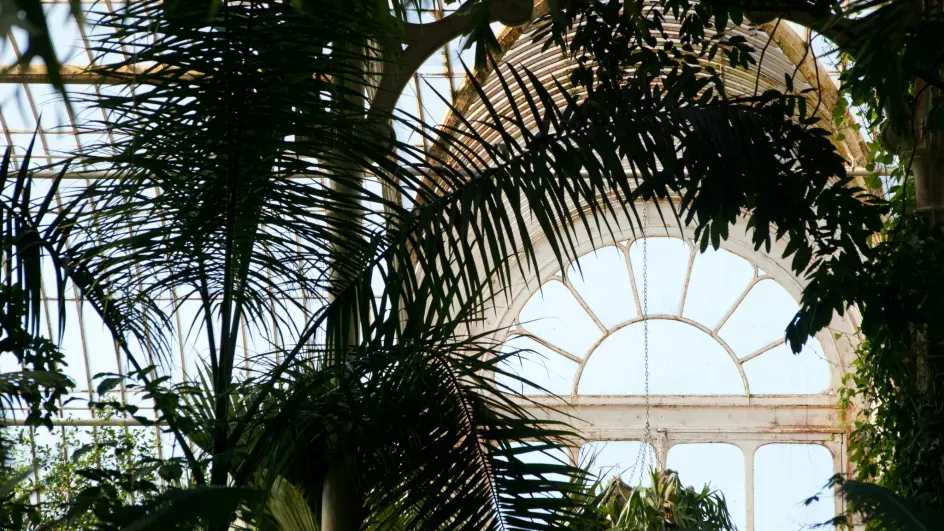 Palm House © RBG Kew